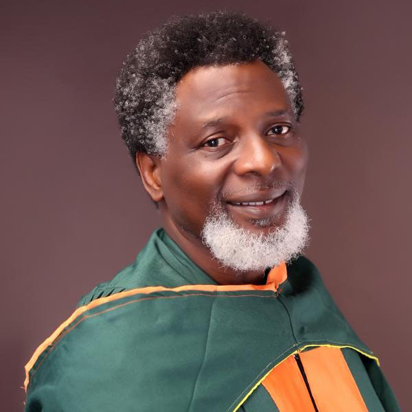 Dr Olu Ajayi